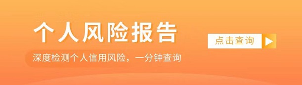 極客查-大數(shù)據(jù)查詢(xún)行業(yè)佼佼者！