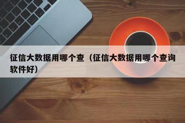 飛雪快查-個人大數(shù)據(jù)風(fēng)險查詢！