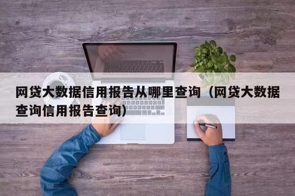 鷹心快查-大數(shù)據(jù)信用報告查詢！