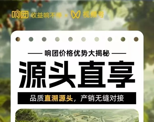響團平臺詳細講解，附注冊加入步驟！