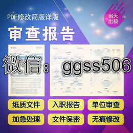 個人征信報告電子版PDF無痕修改頁面內容